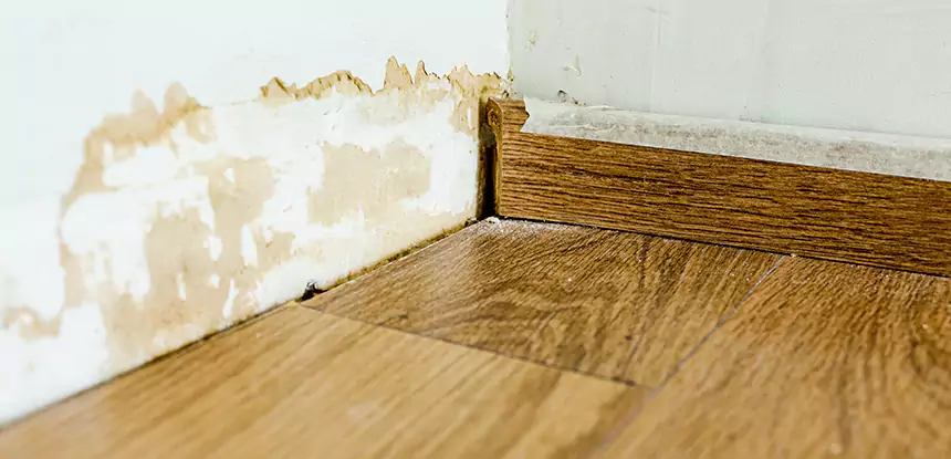 Professional Fix Water Damaged Wood Services in Lovejoy, GA