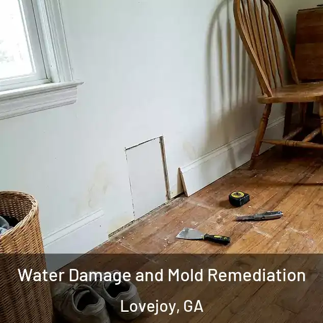  Water Damage and Mold Remediation Lovejoy, GA